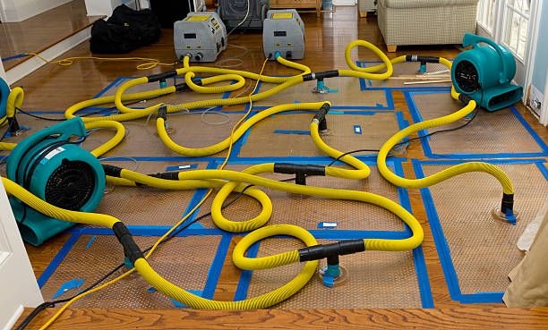 Professional Water Damage Restoration technician working in Holyoke, MN